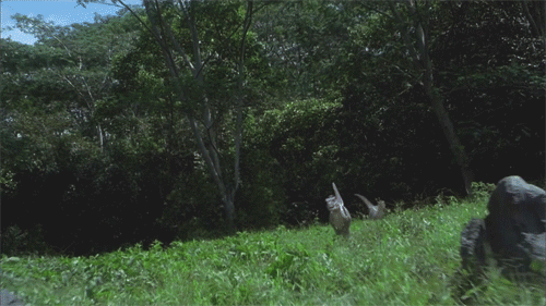 La trilogie Jurassic Park E-et-cie-jurassic-park-3b-3fc029e