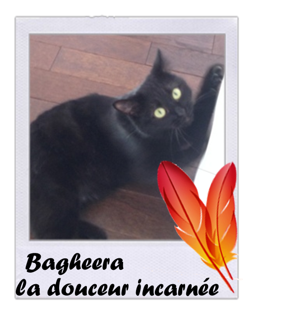 Bagheera