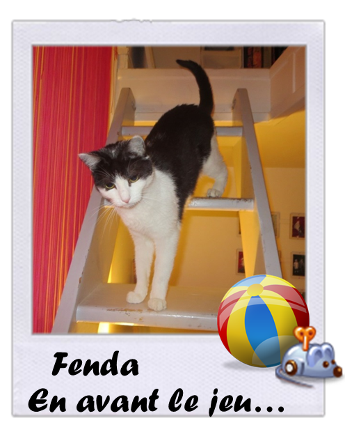 Fenda