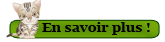 Bouton 1